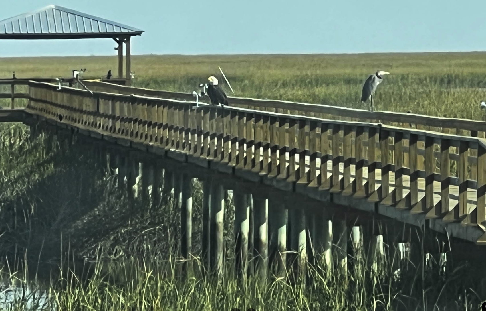 South Georgia Marine Construction - Premium Dock Building & Marine ...